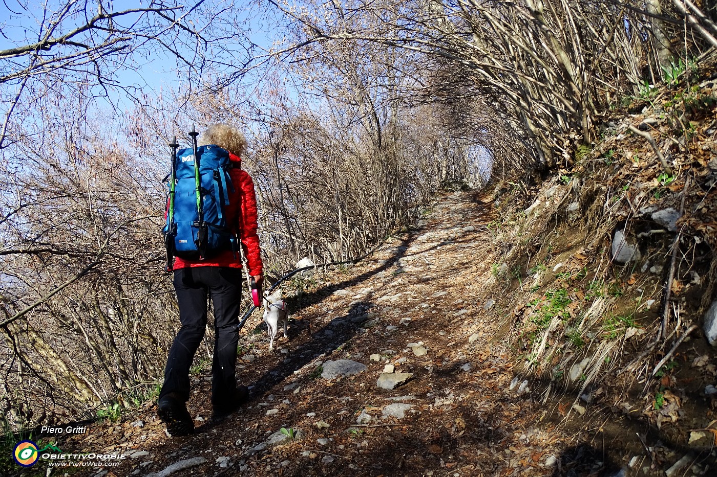 10 Sterrata e mulattiera nel bosco.JPG